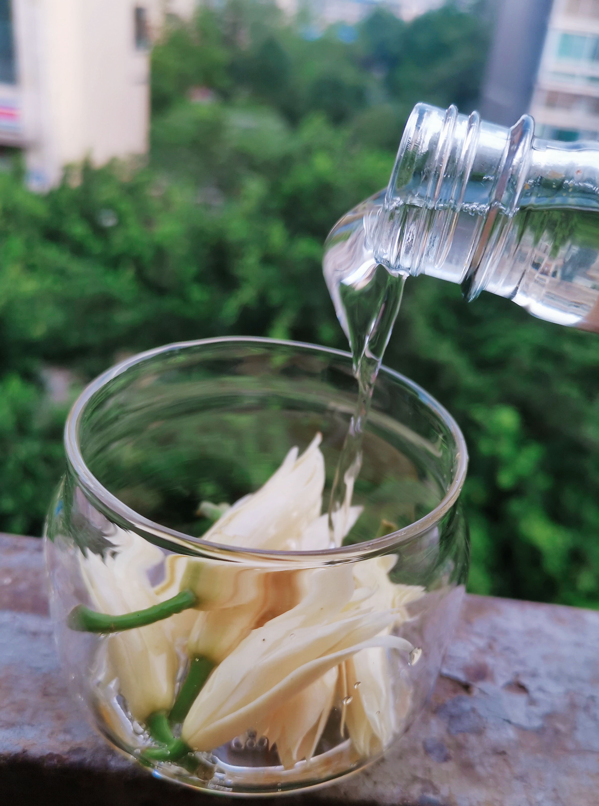 黄角兰泡酒快速止痒蚊虫叮咬