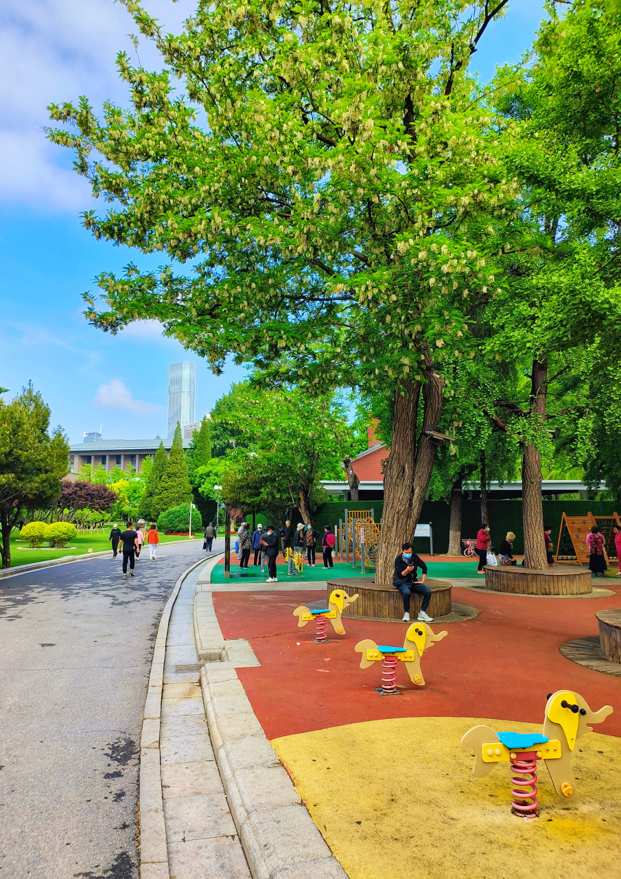 雨后大连儿童公园清晨,空气清新 初夏时光 太美了#五一辽宁游园会