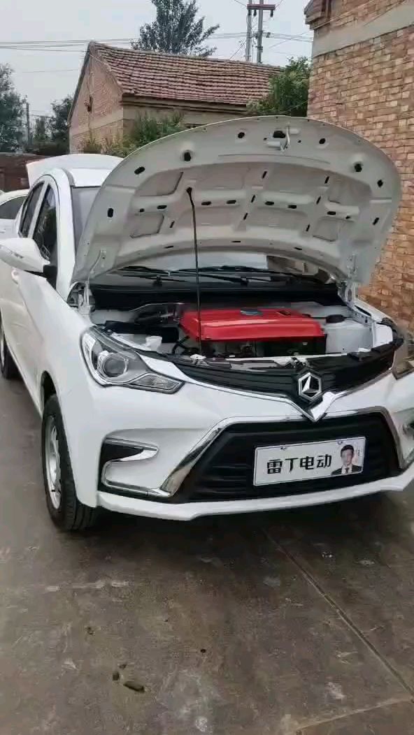 山东省雷丁新能源电动车有限公司雷丁小骑士-度小视