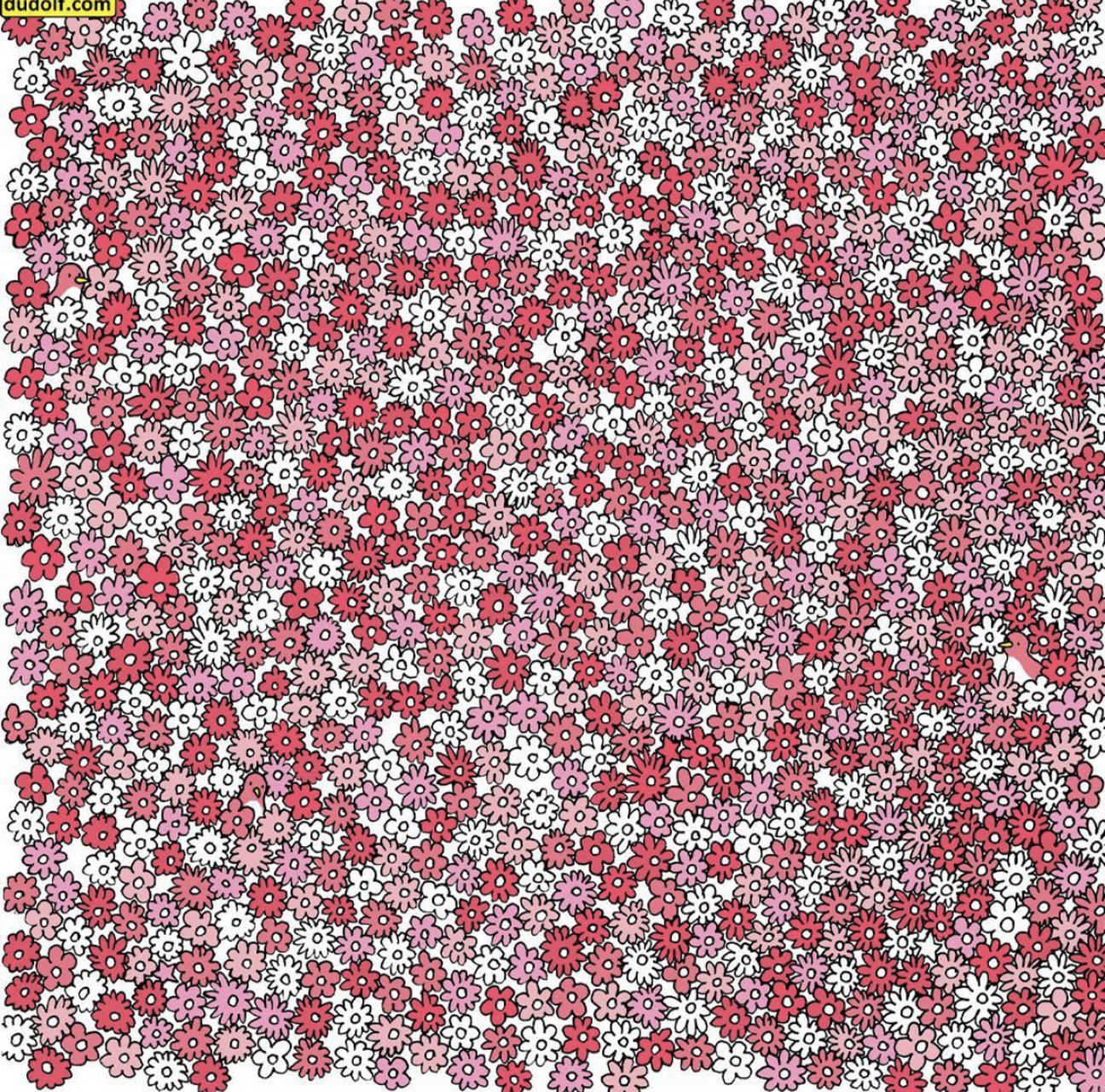 你可以在这张图里找到五颗星星吗?