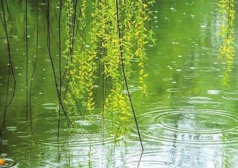 春风化雨