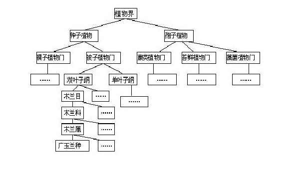 植物分类系统