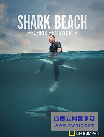 2021纪录片《鲨鱼海滩》1080p.BD中字4K|1080P高清百度网盘