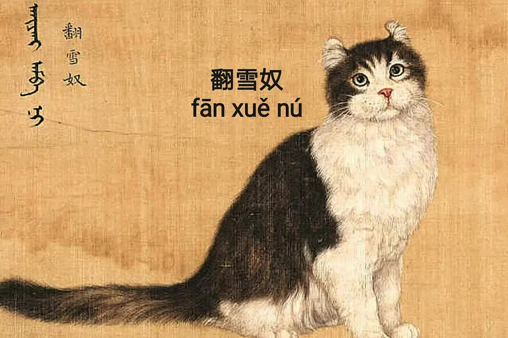 乾隆的猫咪们叫什么名字(图像取自洋画家艾启蒙《狸猫影)