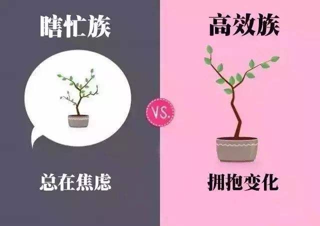 走出舒适圈职场图片