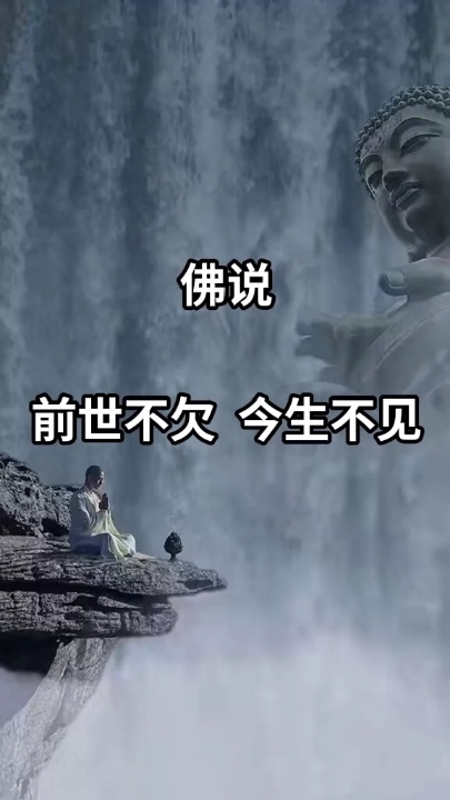 前世不欠今世不见