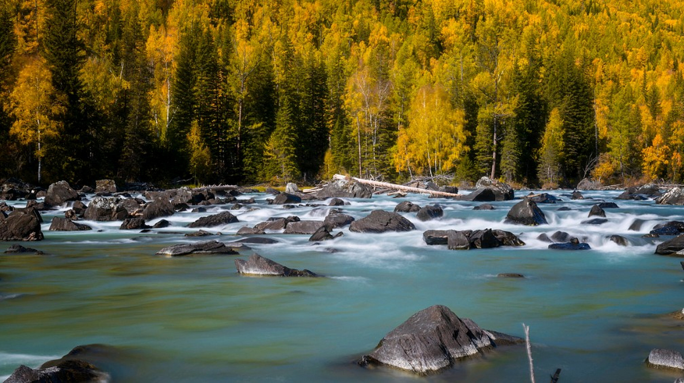 这几张比较有意境,感觉每一张都想当成屏保!