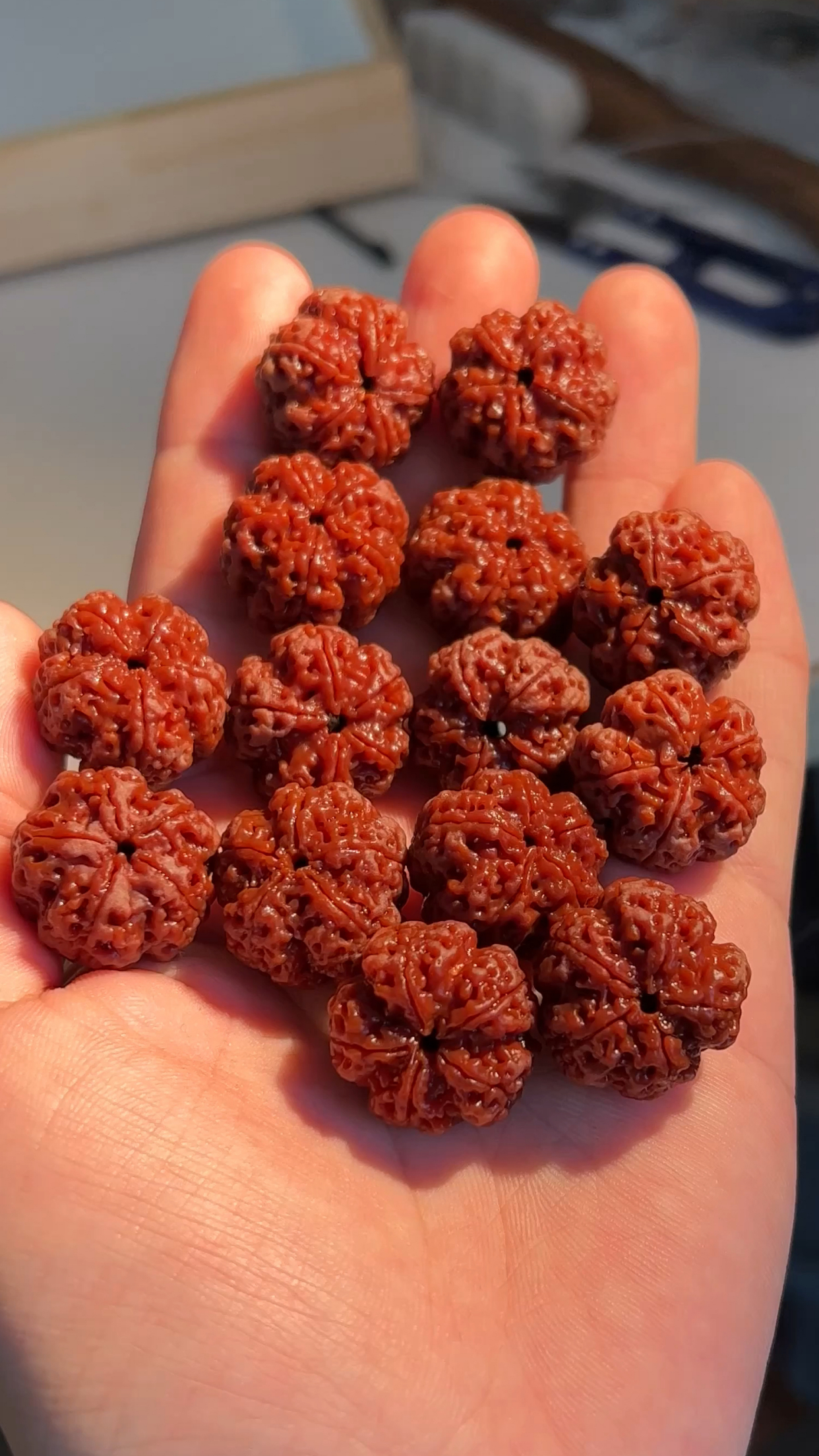 大梅花金刚菩提这才叫天花板