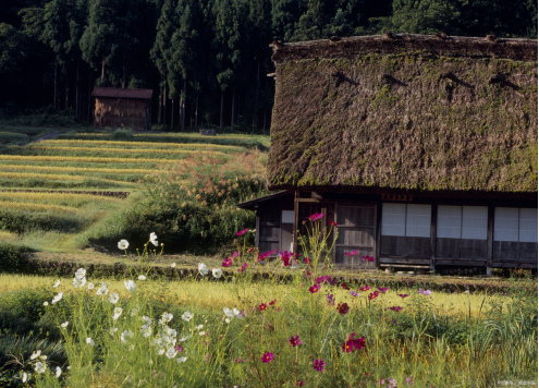 学渣才子汪曾祺,各科不及格,只有国文课120分,教授说,学生比我写得好!