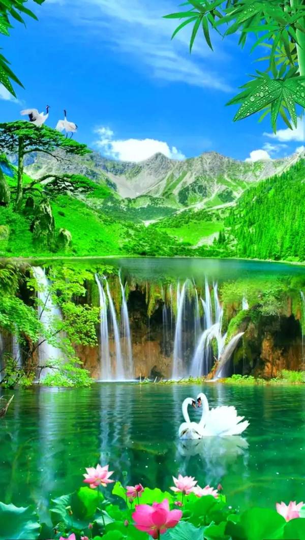 只羡鸳鸯不羡仙,迷人的风景,诗情画意