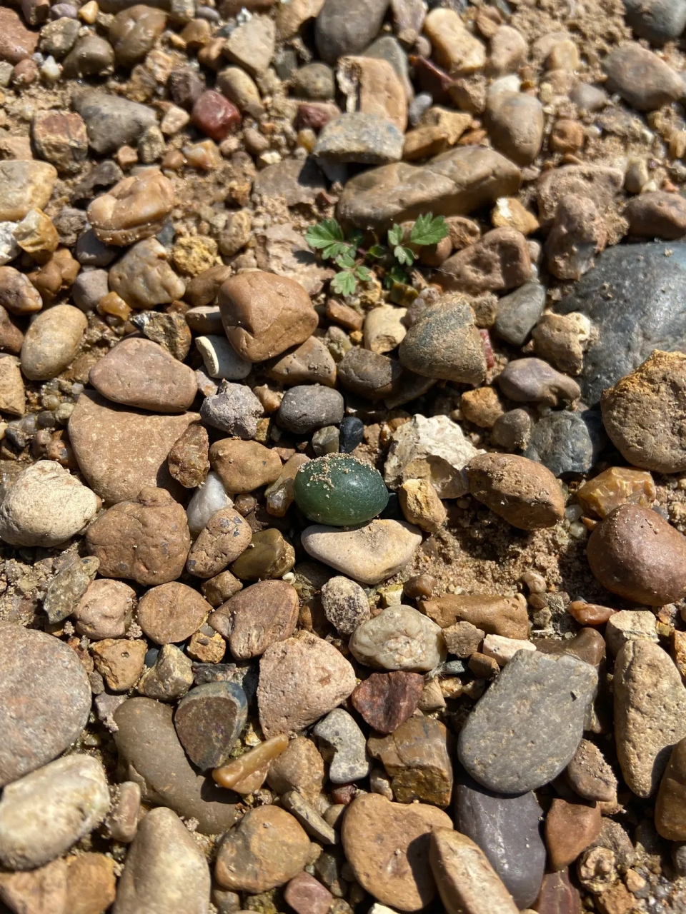 嫩江玛瑙小原石 路边上捡到的,可以不