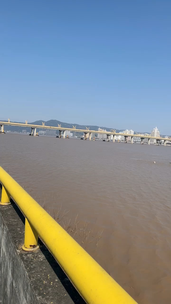 瑞安飞云江大桥