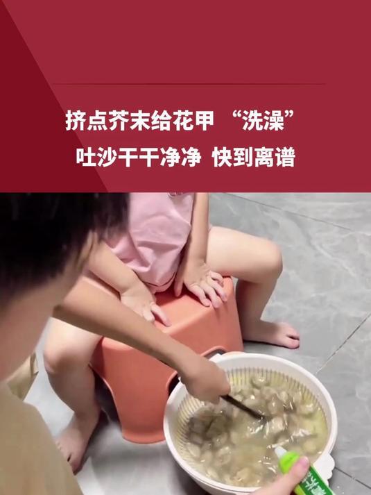 为什么吃了花甲会呕吐