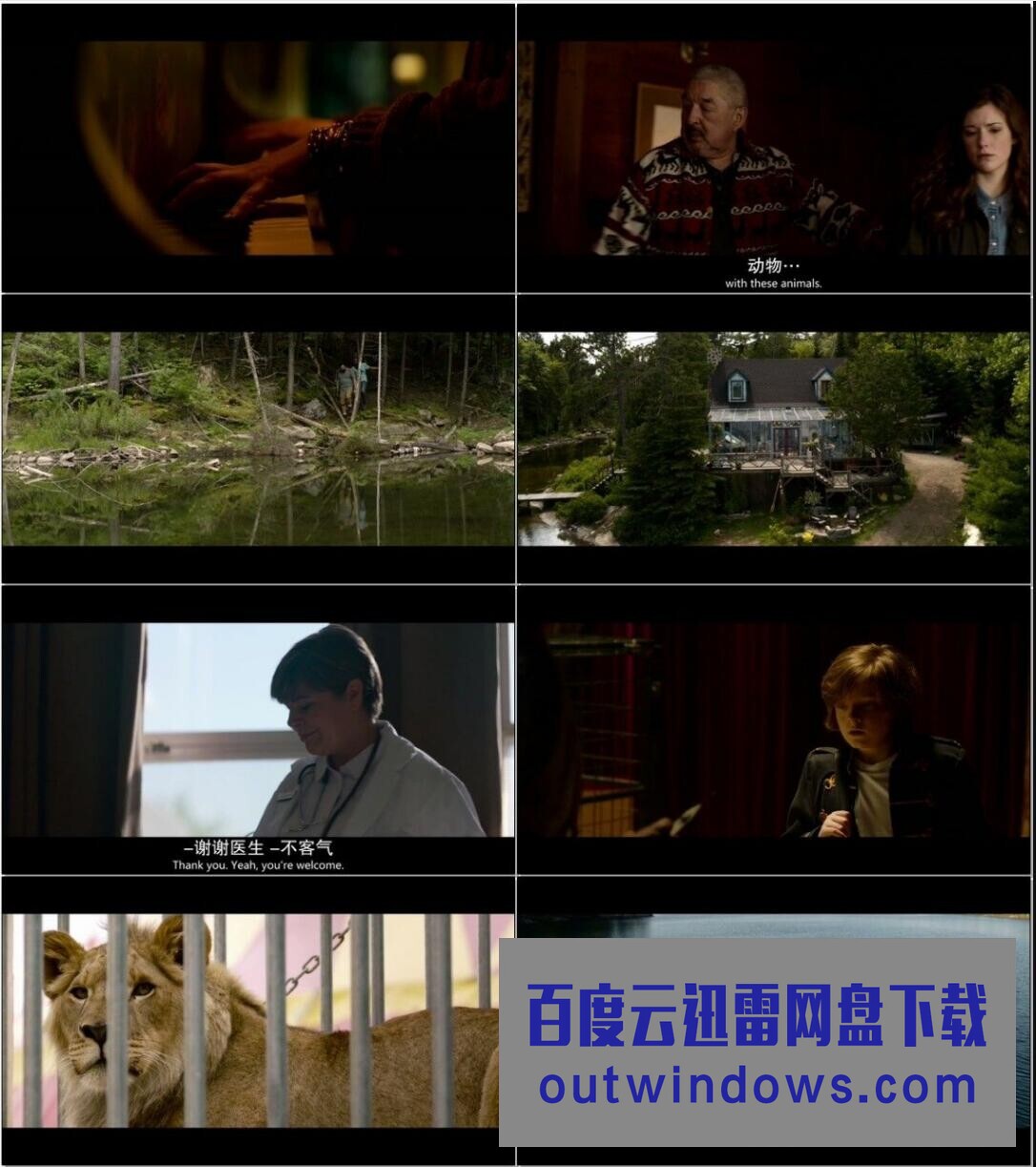2021剧情《狼与狮子》1080p.BD中英双字1080p|4k高清