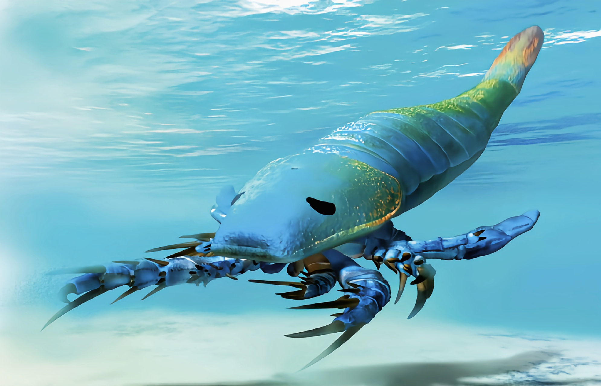 远古生物探秘——迪科拉古希腊军舰 它是美国新发现的4.