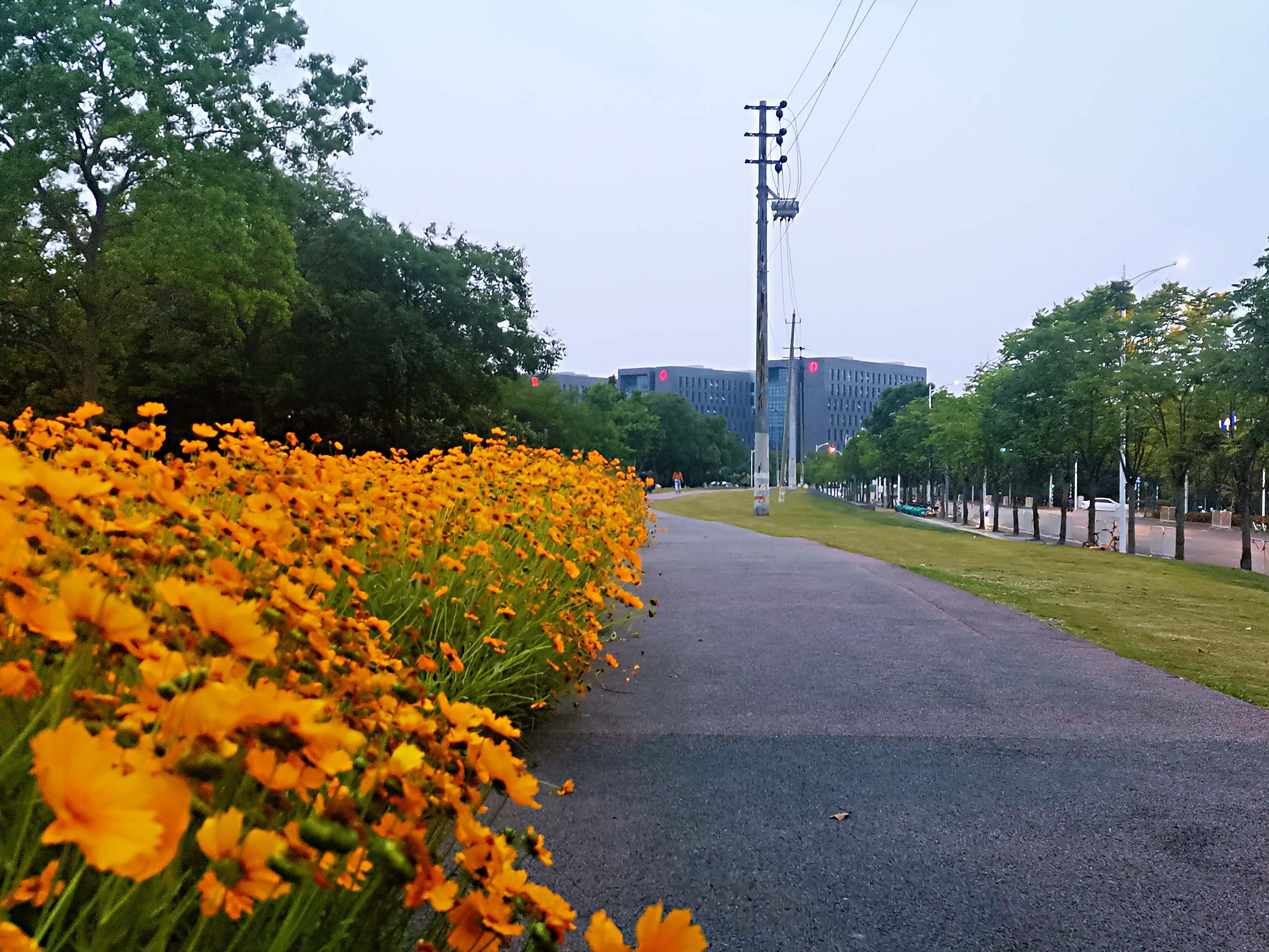 一个被南京网友忽略的小众景点,运粮河风景