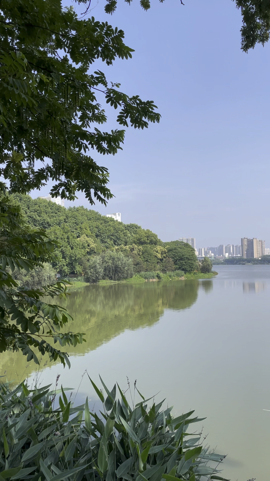江西九江甘棠湖与南湖相连湖边风景