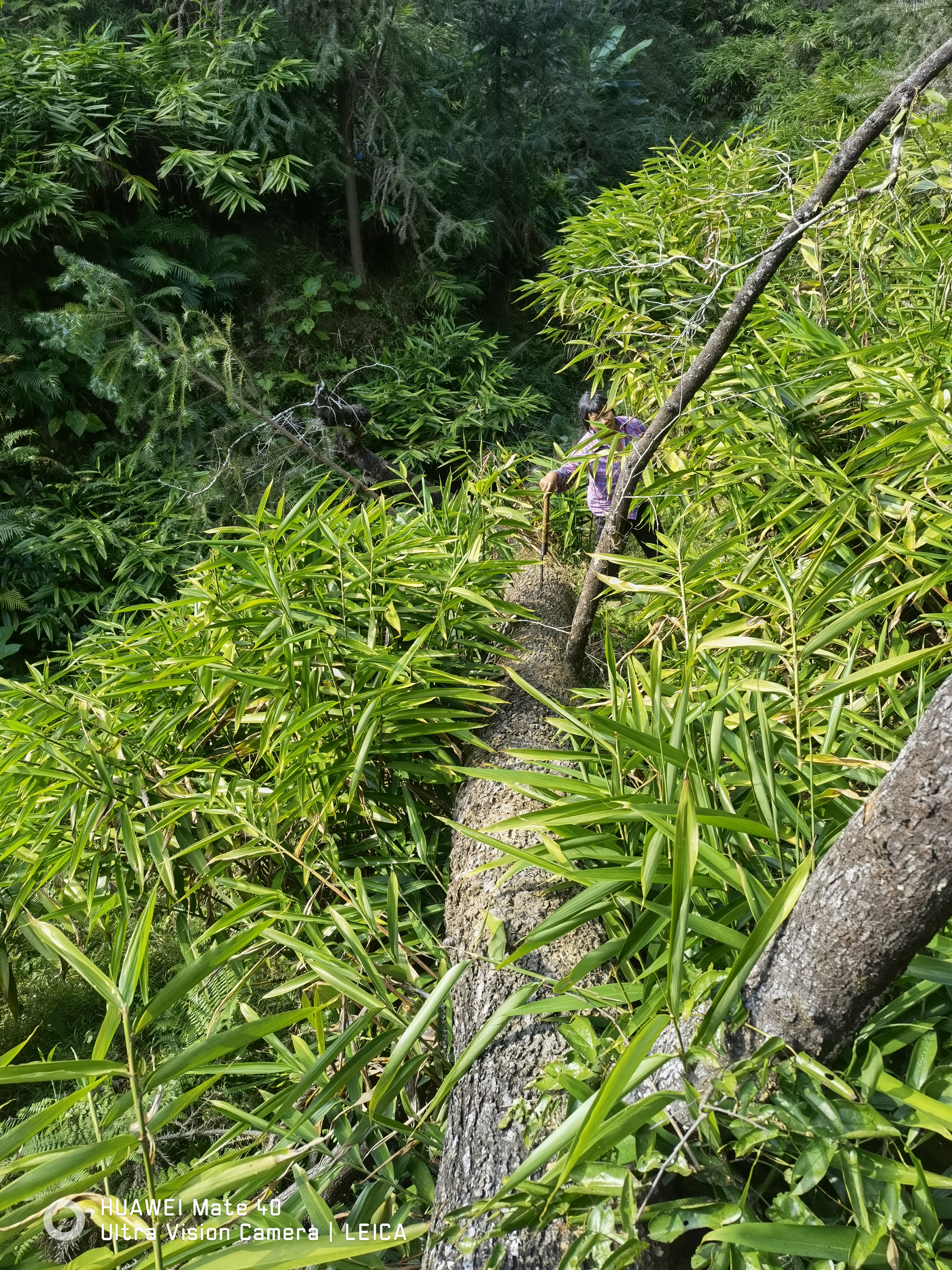 这算不算泄漏天机?