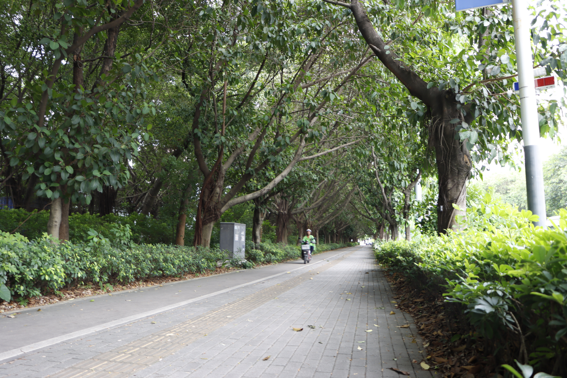 深圳龙岗区安良六村风光摄影