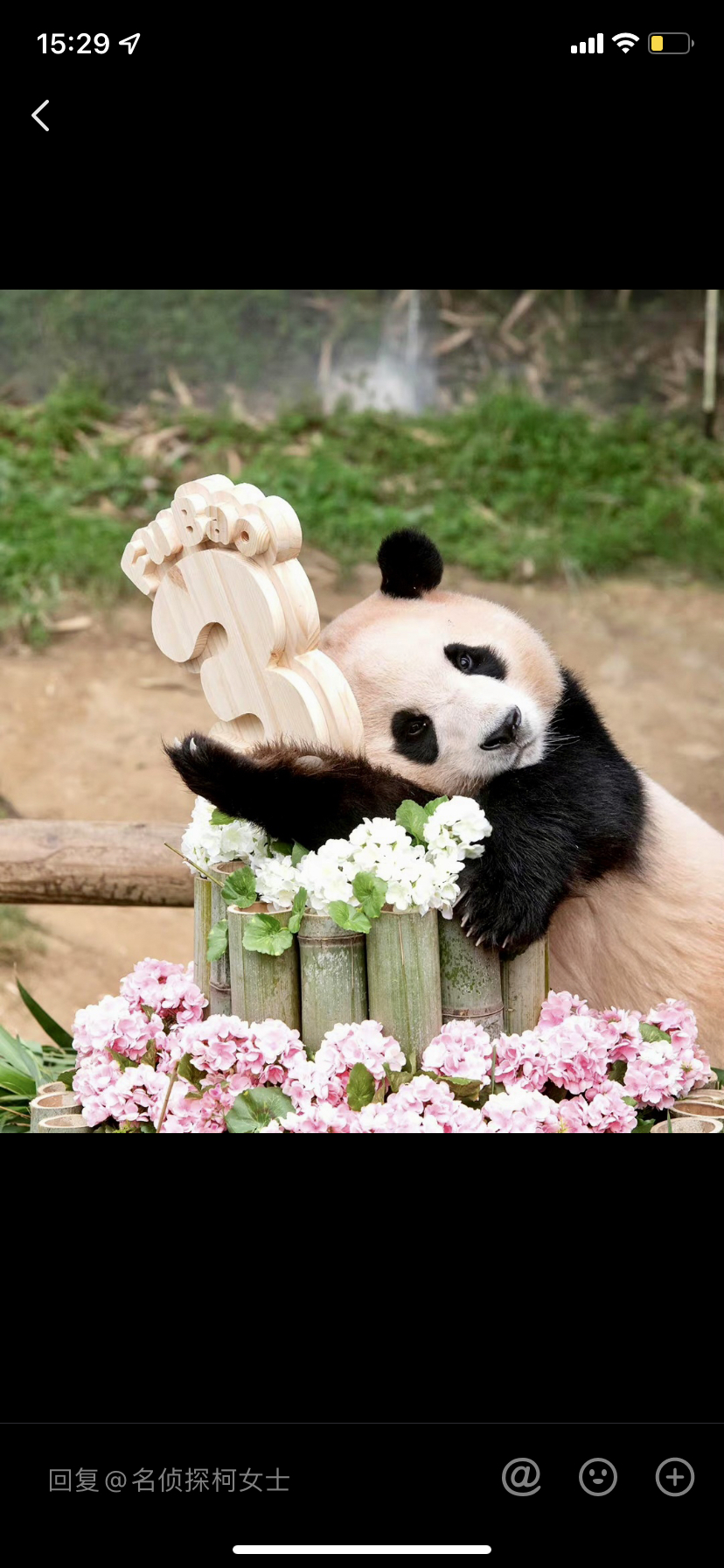 828_1792竖版 竖屏