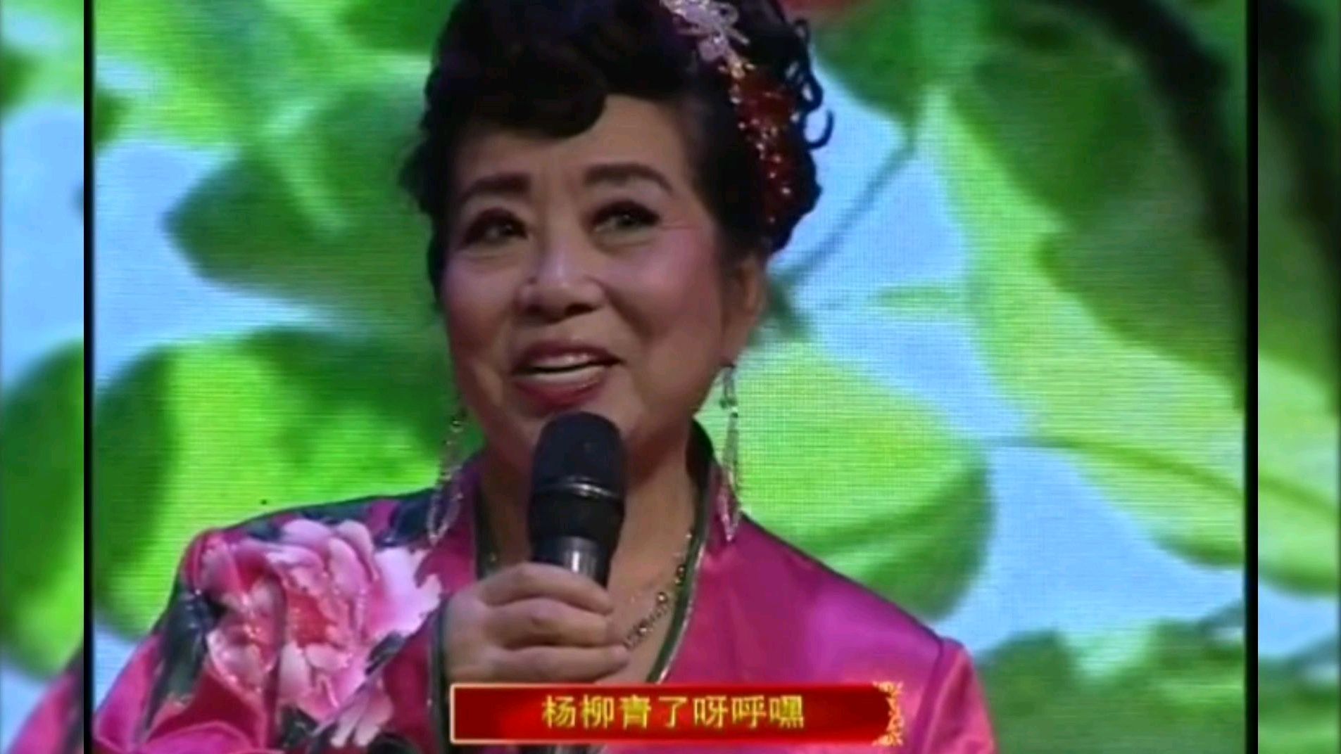 《大红公鸡毛腿腿》