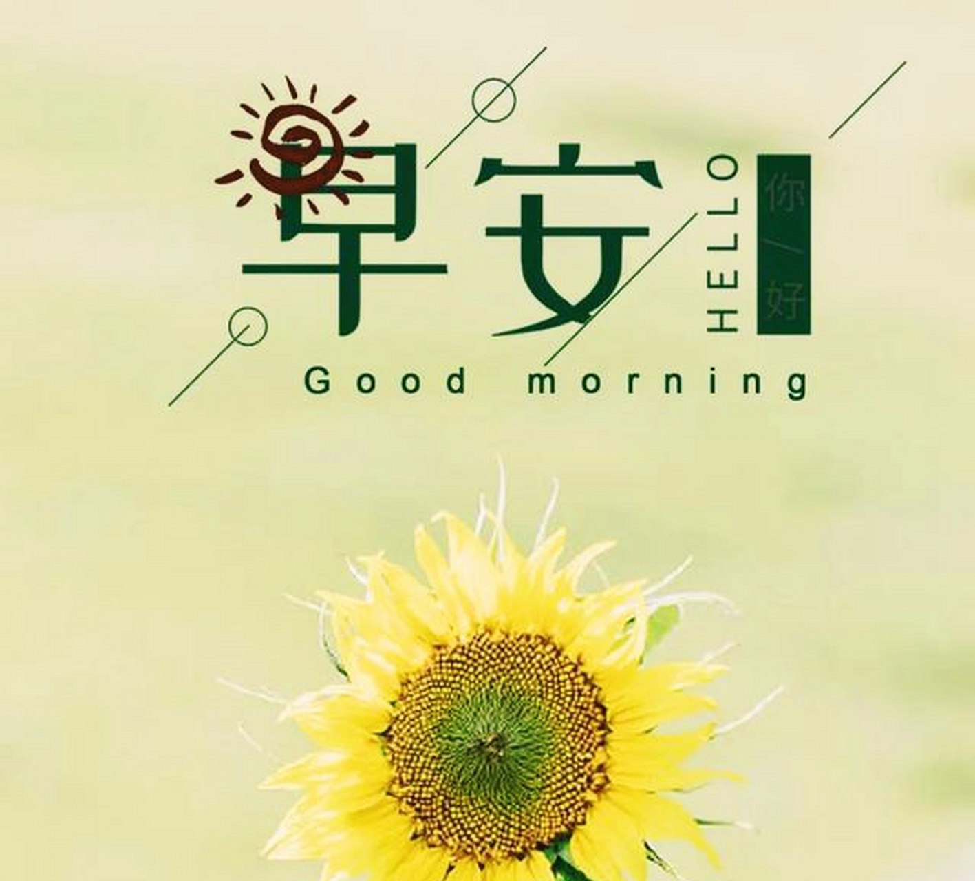 早安!今天天气不错!