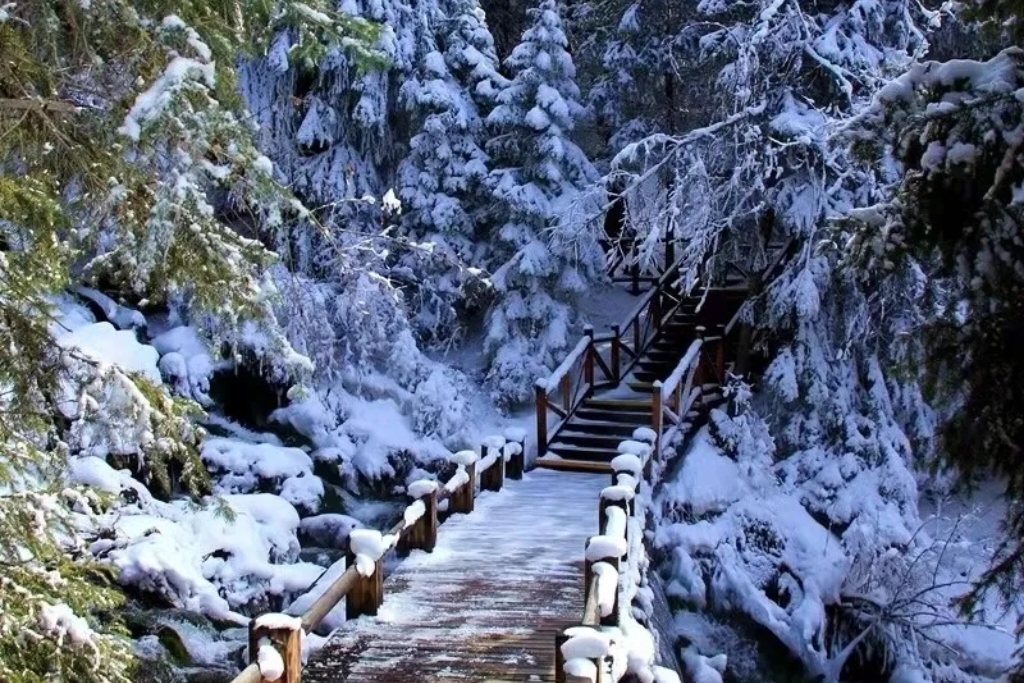 绵竹天池看雪图片