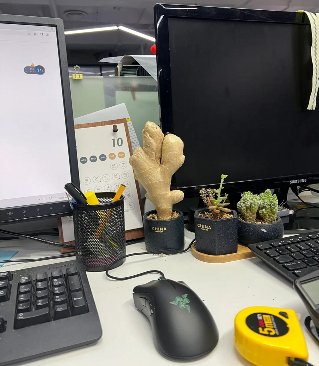 同事办公桌上的植物,这个生姜是啥意思?