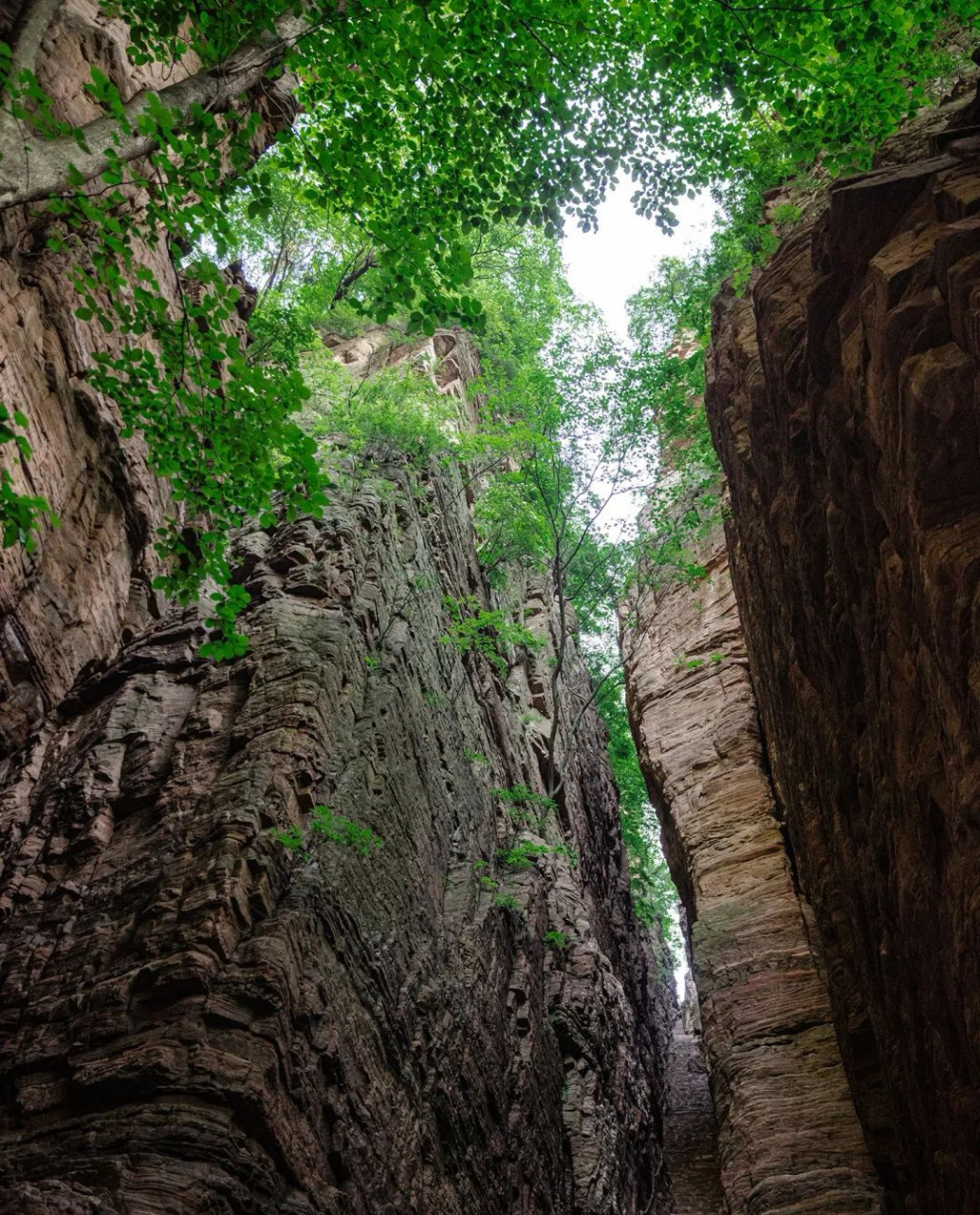 渑池仙门山景区图片图片