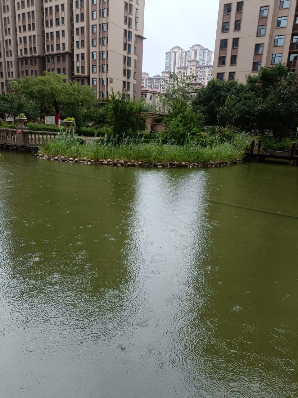 小区下雨照片图片