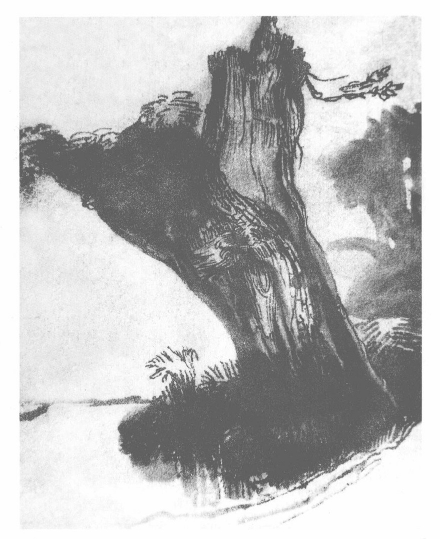 大师伦勃朗的风景速写