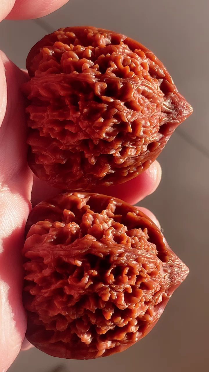 《奶嘴满天星狮子头》 尺寸43-43肚41-41 高44 自然光下拍摄-度小视