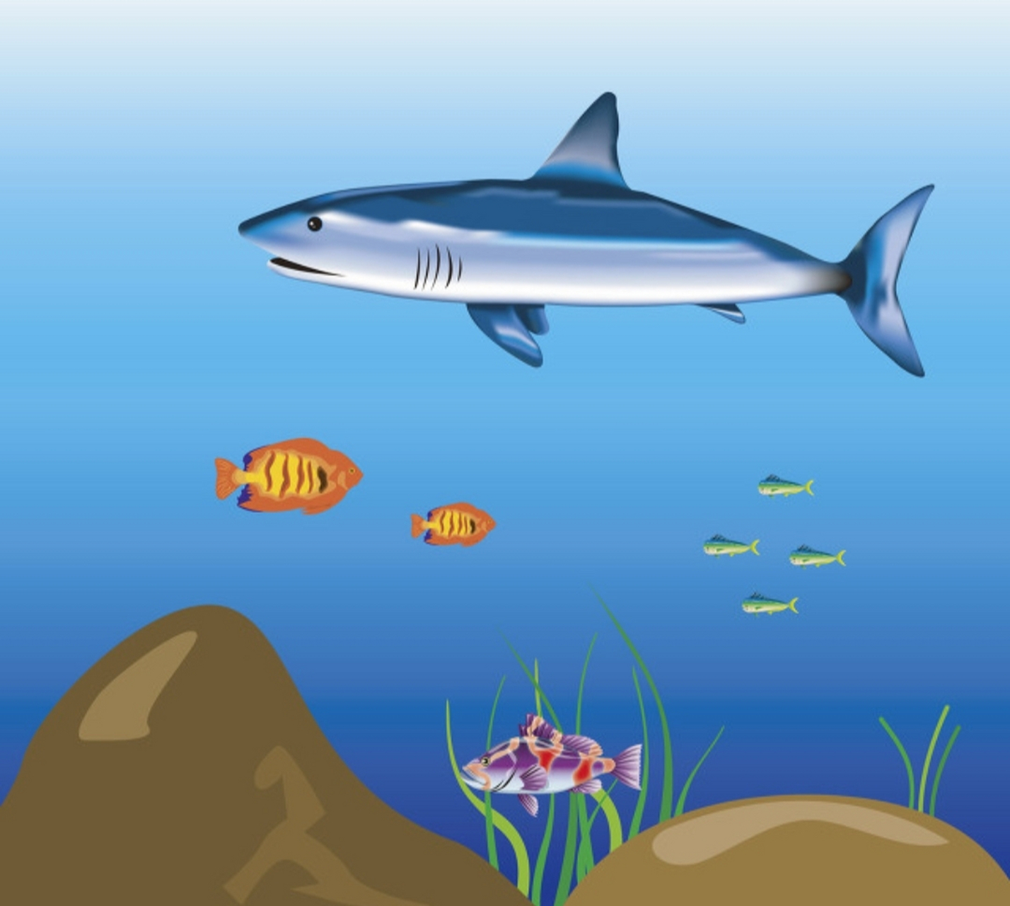 鱼和海洋 电影《心灵奇旅》中,讲了一个关于鱼的故事:  一条小鱼游到