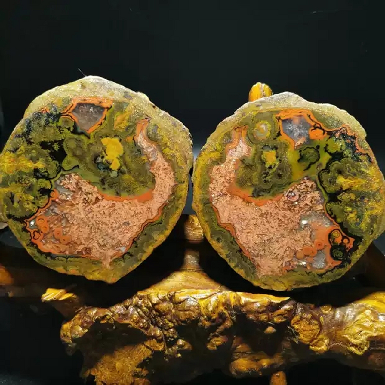 绿孔雀情侣奇石天然战国红象形玛瑙原石.#文玩