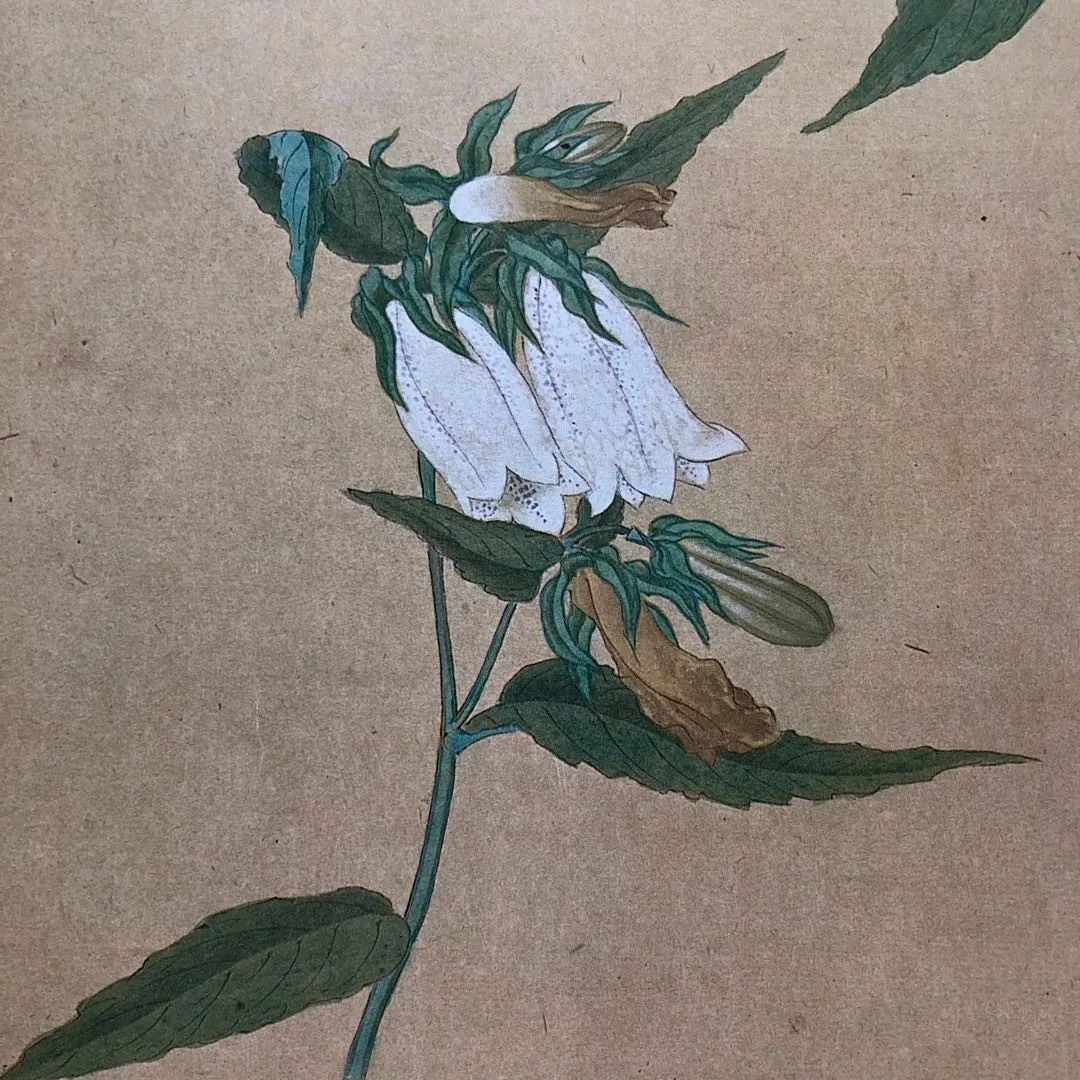 近卫家熙(日本)书法绘画欣赏