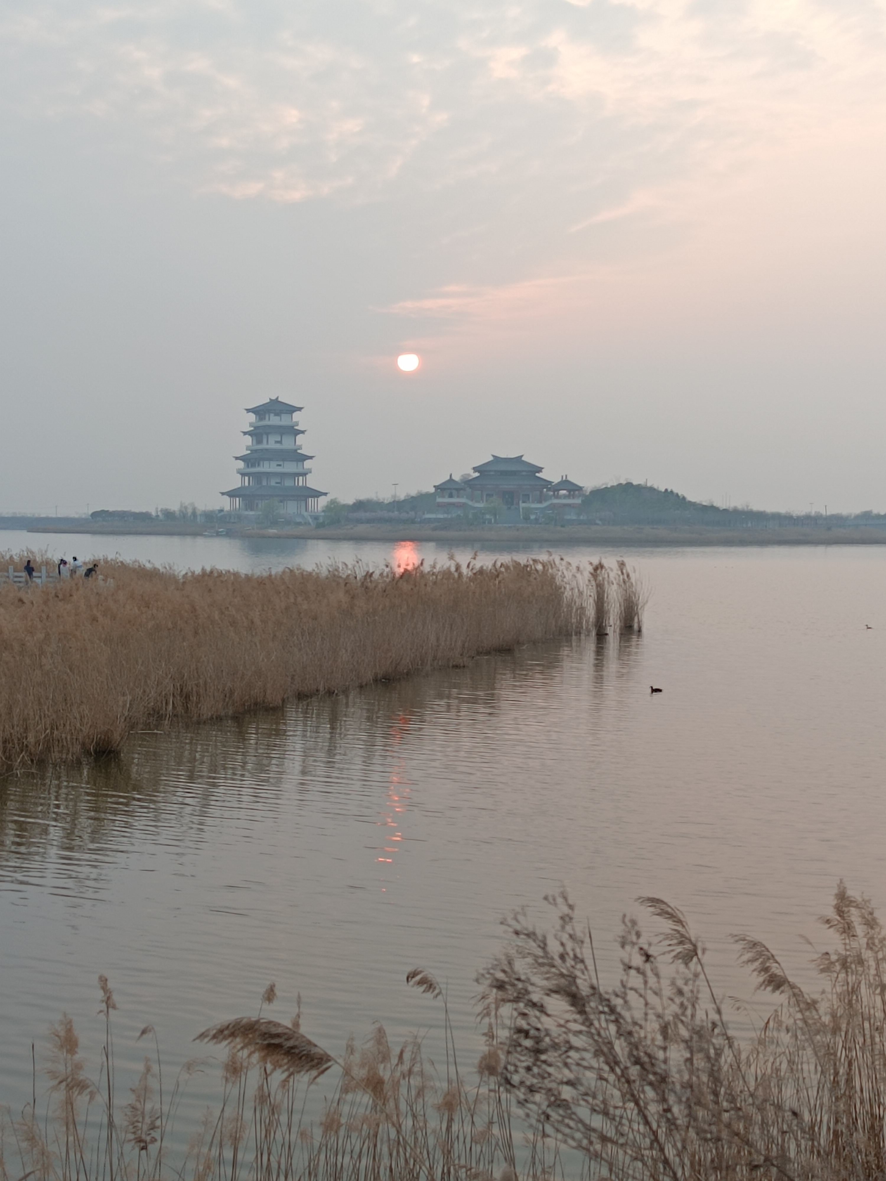 卤阳湖畔春风里图片