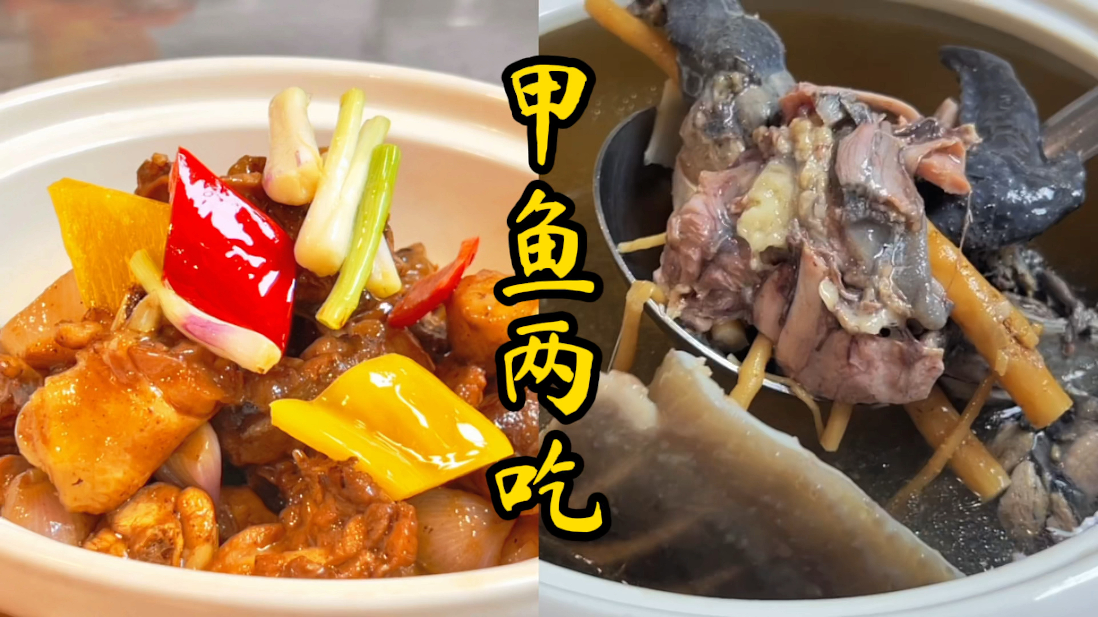 甲鱼两吃,乌鸡炖汤汤,土鸡焖肉,好吃到上头