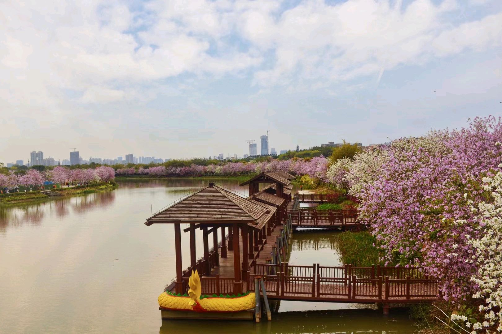 三月美丽的海珠湖湿地公园