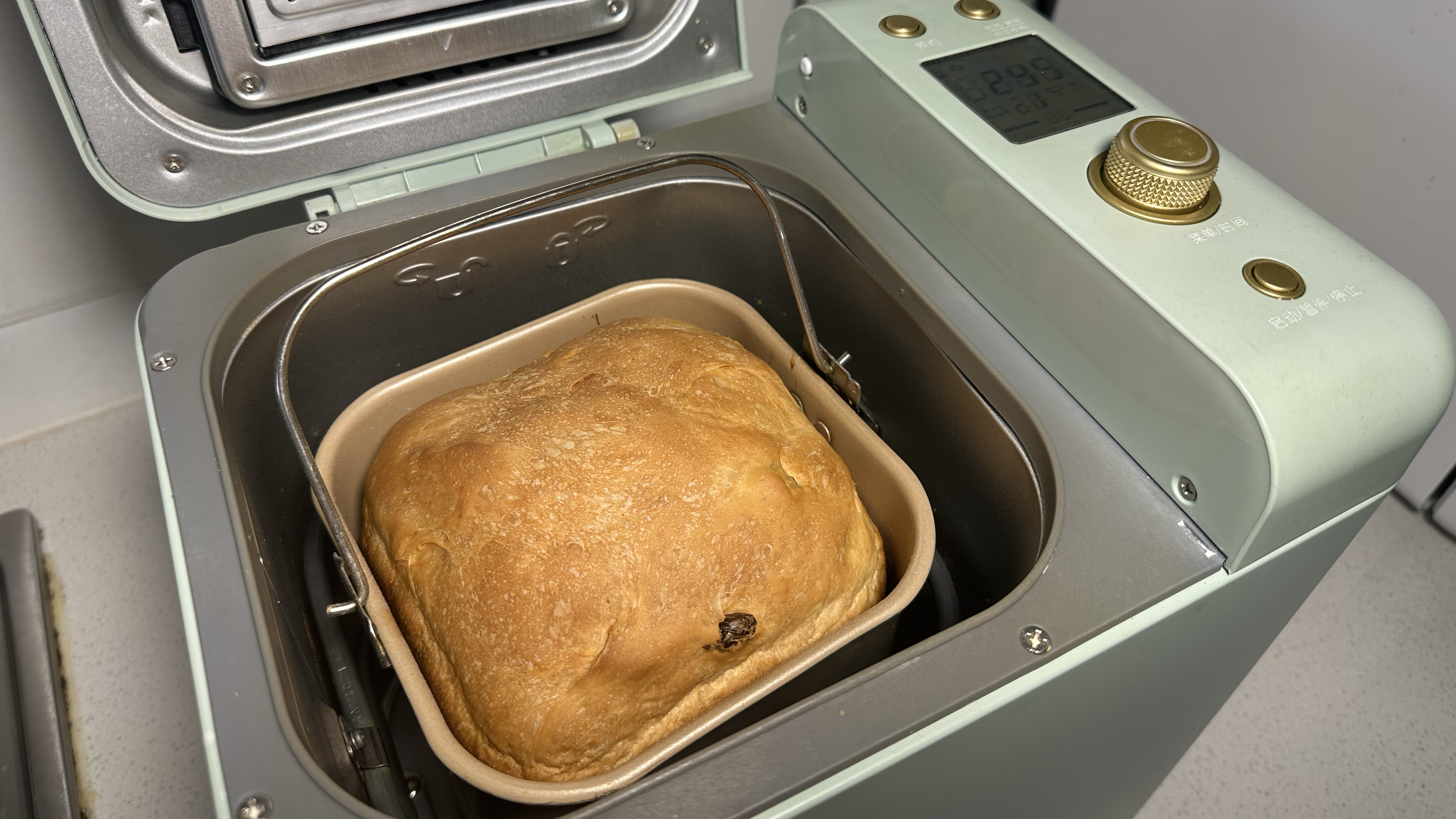 晒晒我的平价面包机,烘焙发酵一键搞定,真是用过就离不开了