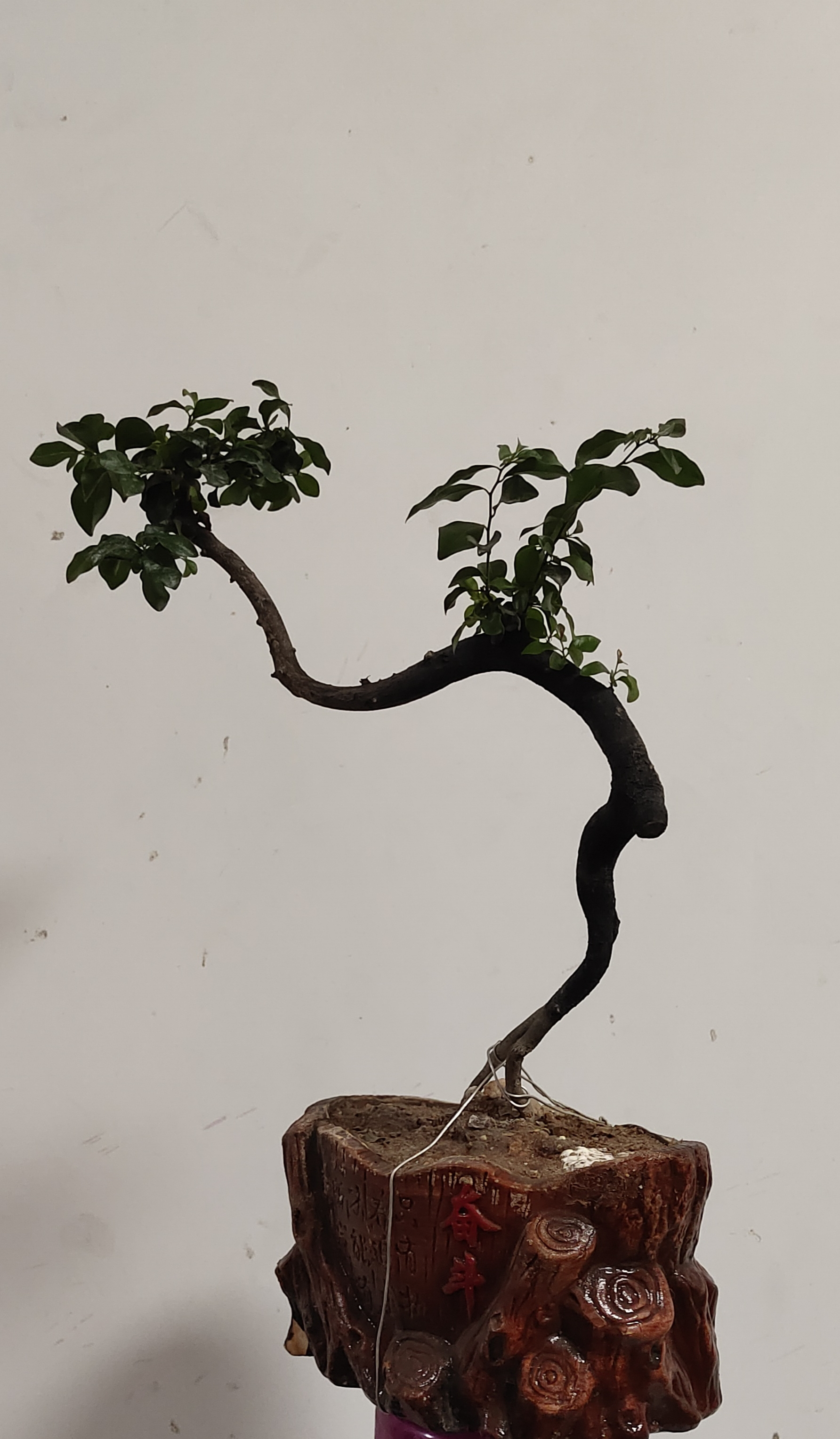 我们这一代生儿子的普通家庭太难,辛辛苦苦把孩子养