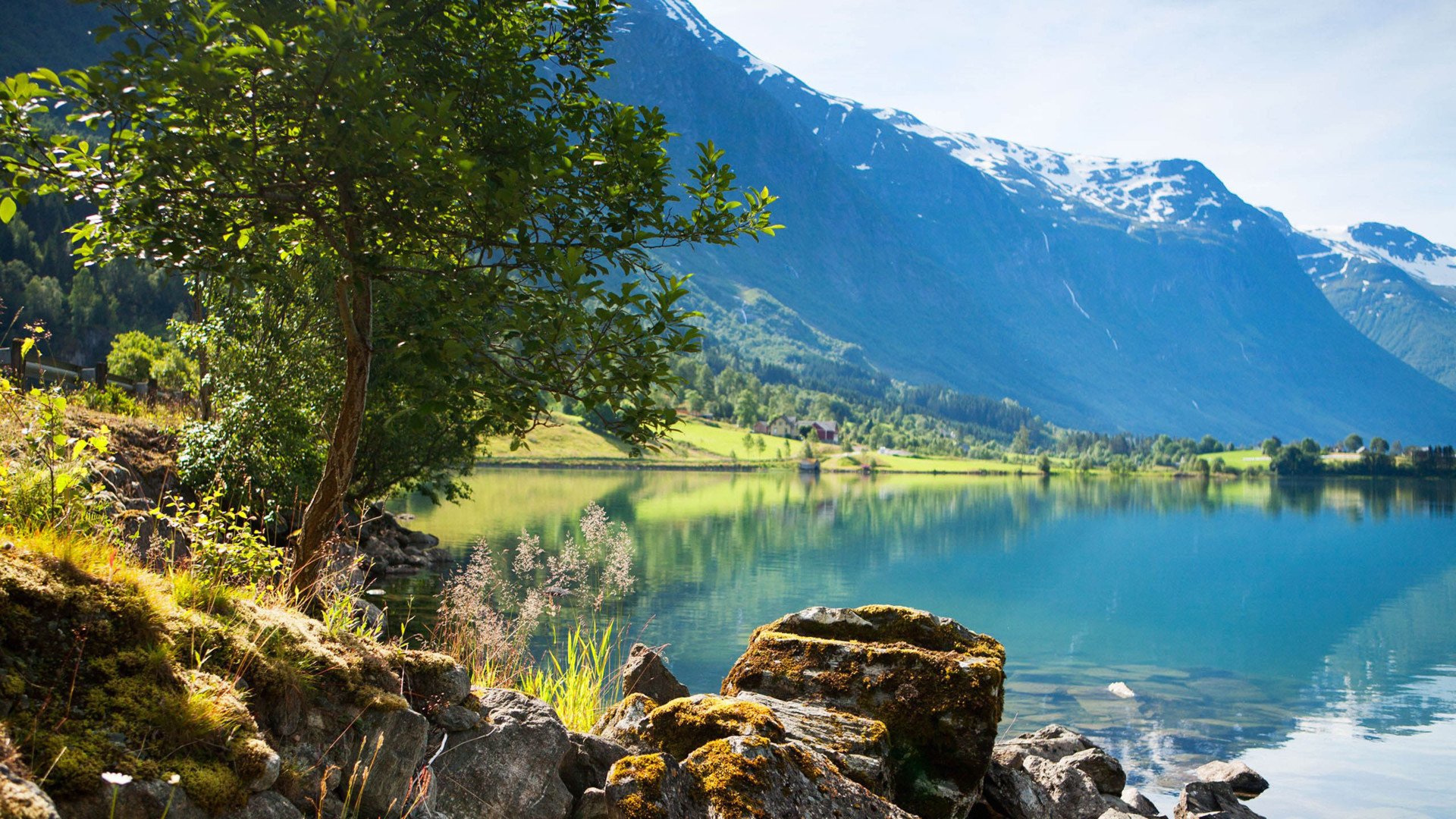 11月7号开始,感情海枯石烂 桃花招架不住的4大生肖