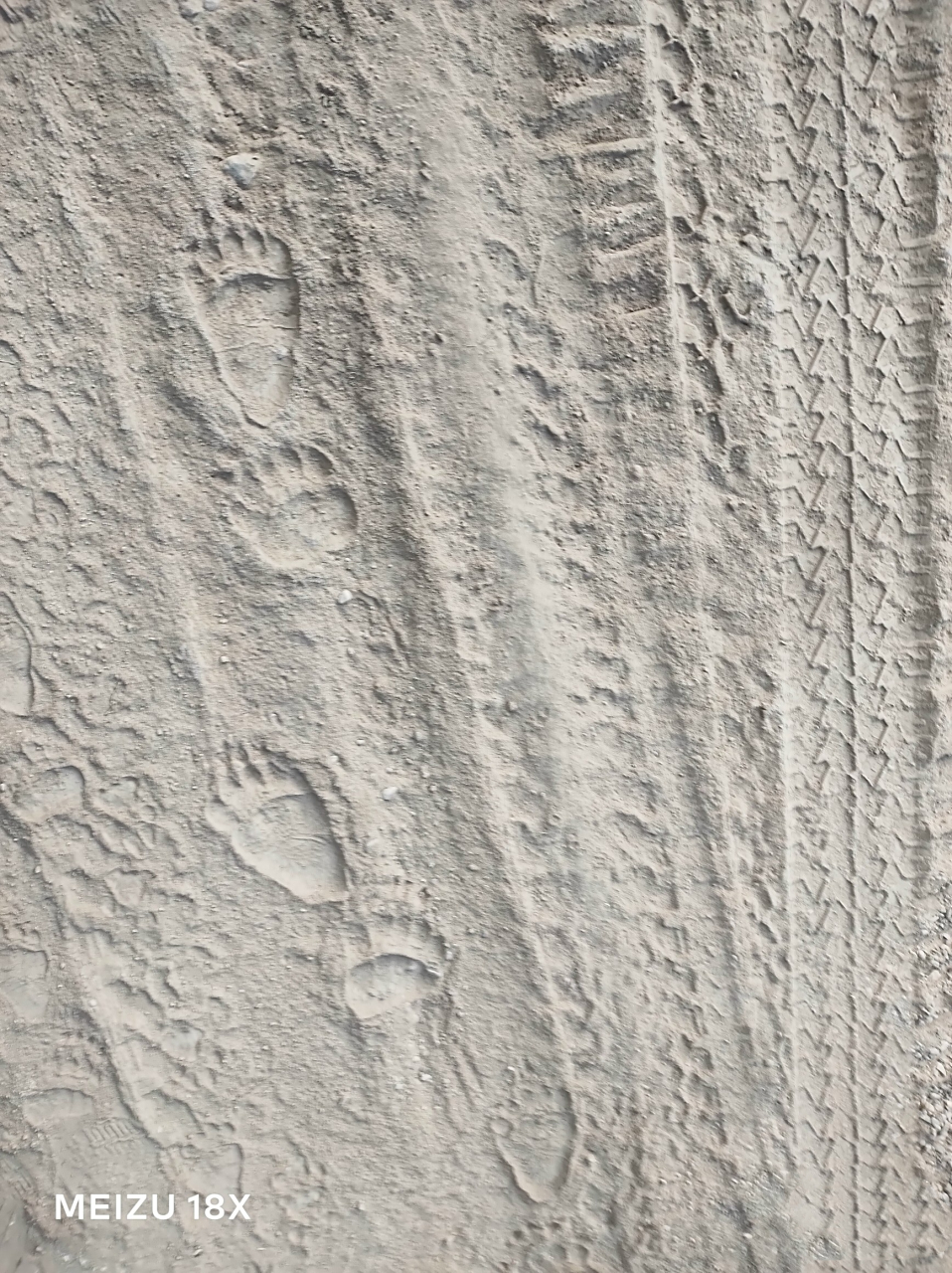 网友:车停到深山里面一夜,第二天就这样了,看这个脚印和破坏力,该不会