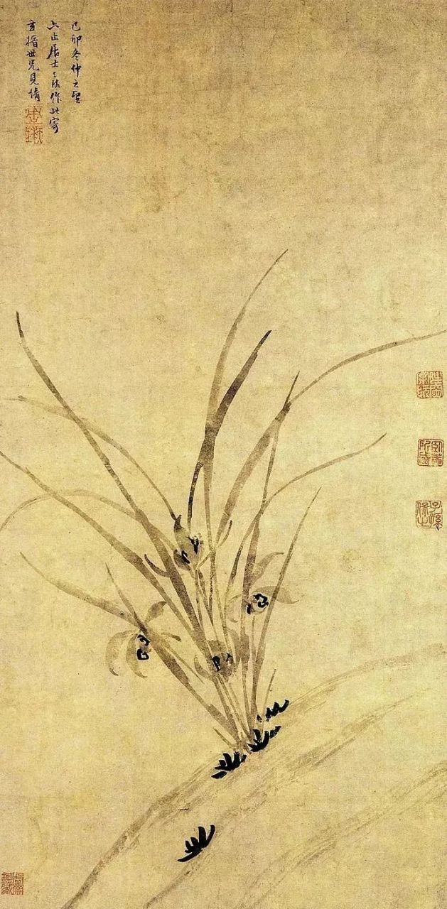 中国花鸟画中的名花卉——兰花【六】明代名家仇英,项元汴,周天球经典