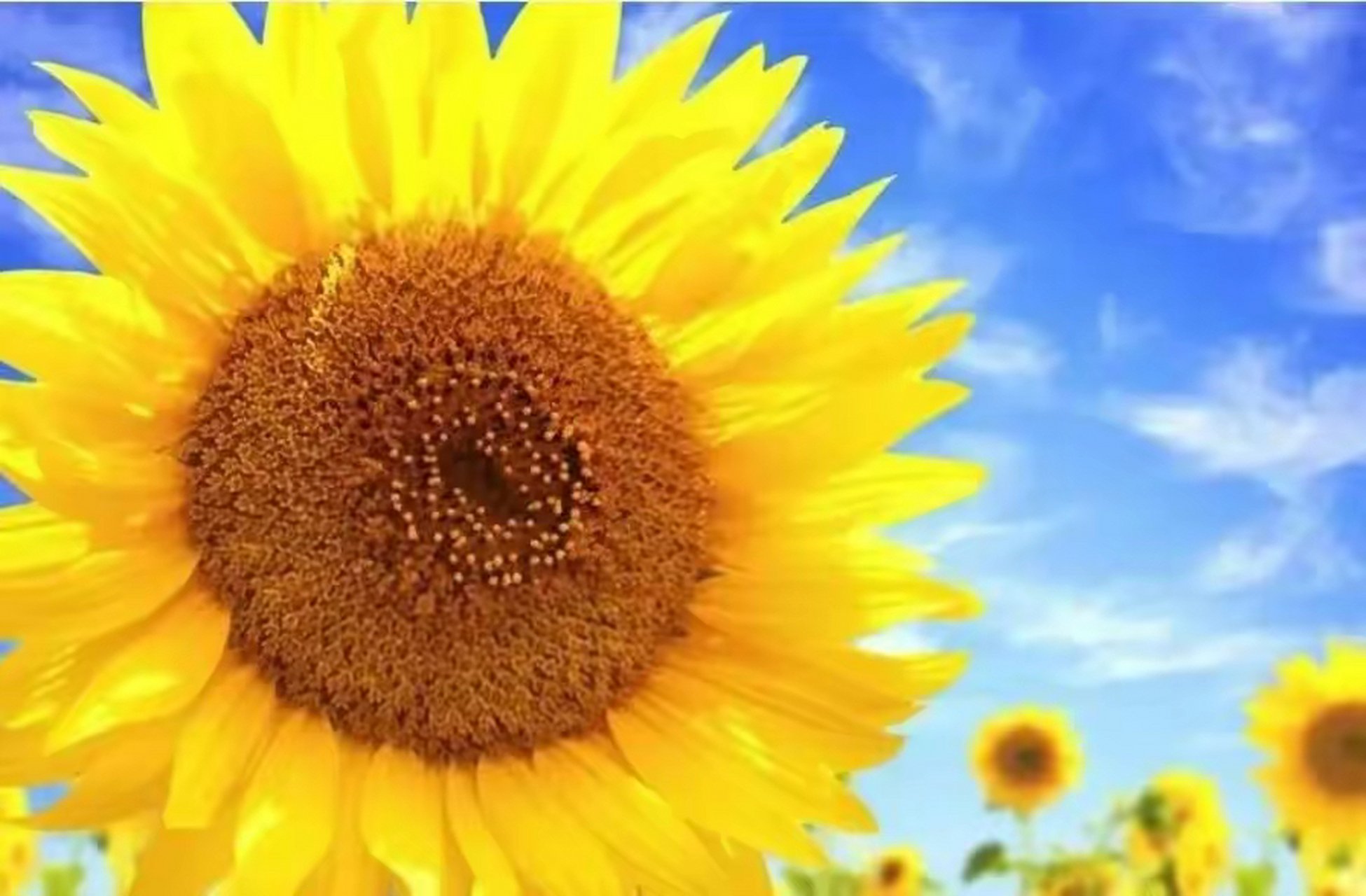 凡事看淡点,想开点,善待自己  生活中的烦心事,每一个人都会有,人生不