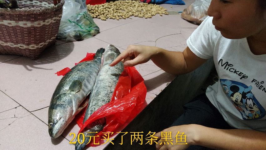 农村婆婆在集市上,20元买回来两条黑鱼,儿媳却犯了愁该怎么吃