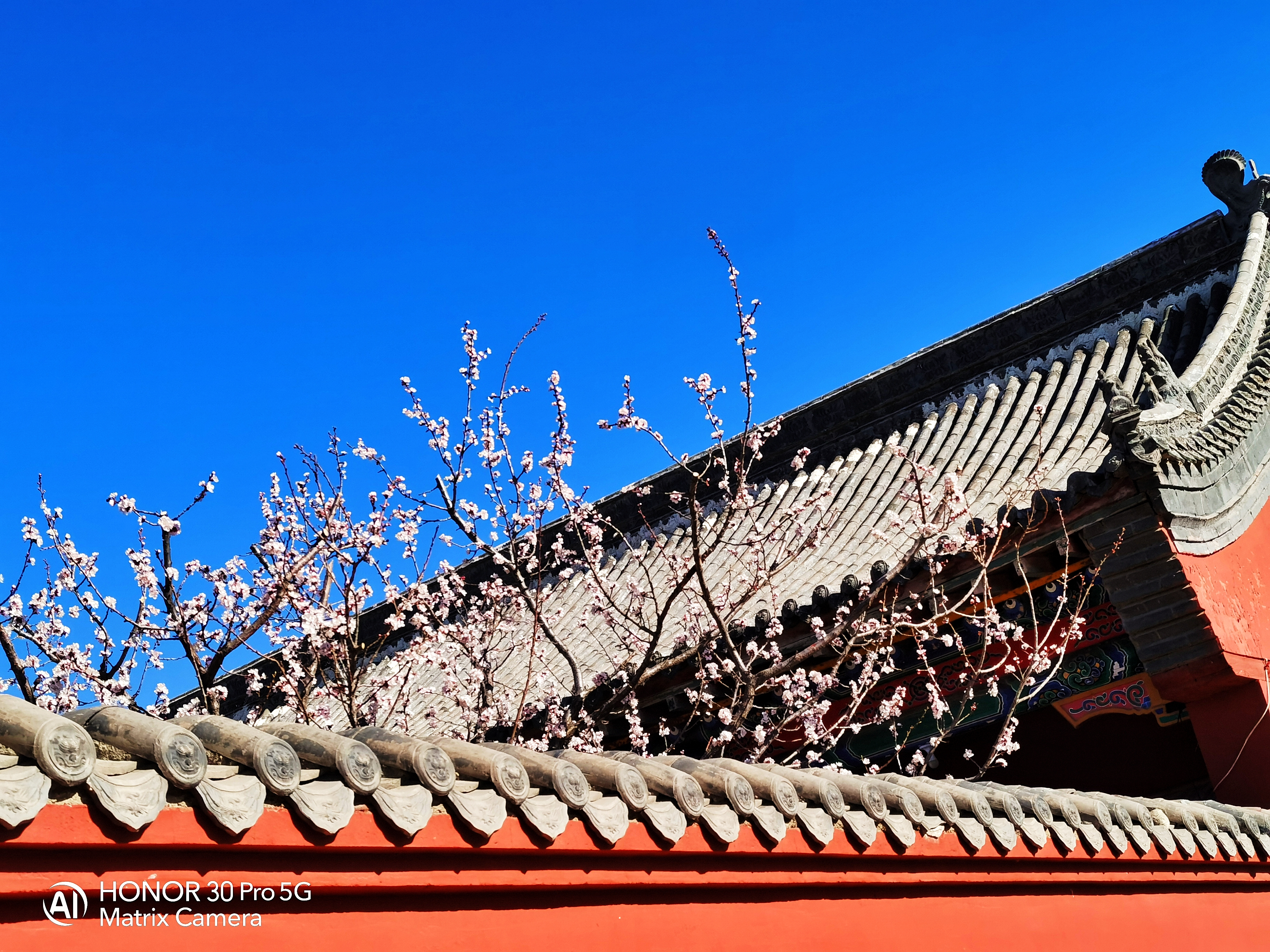 山西左雲,楞嚴寺隨拍