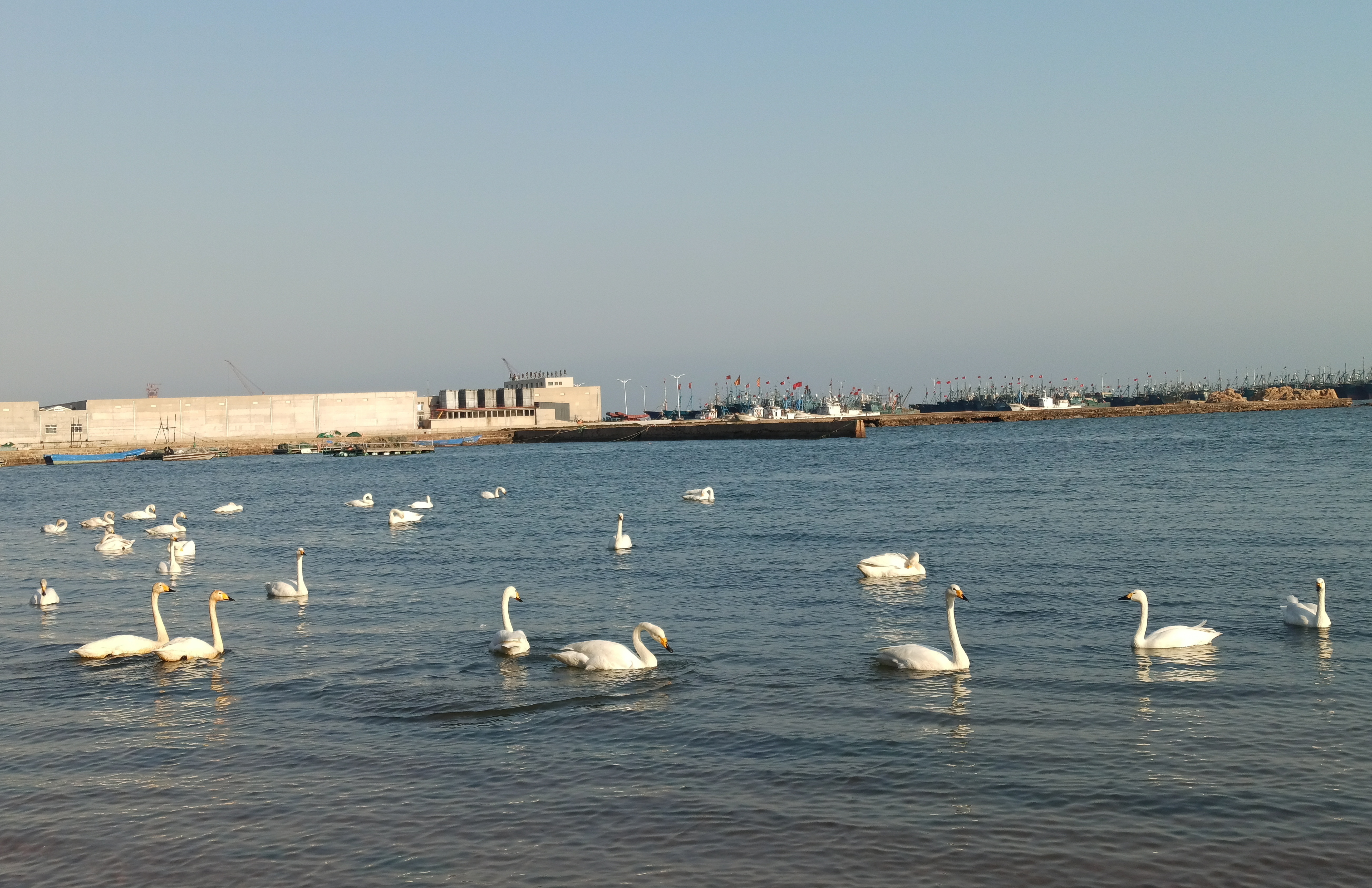 生命的港湾和远方的召唤