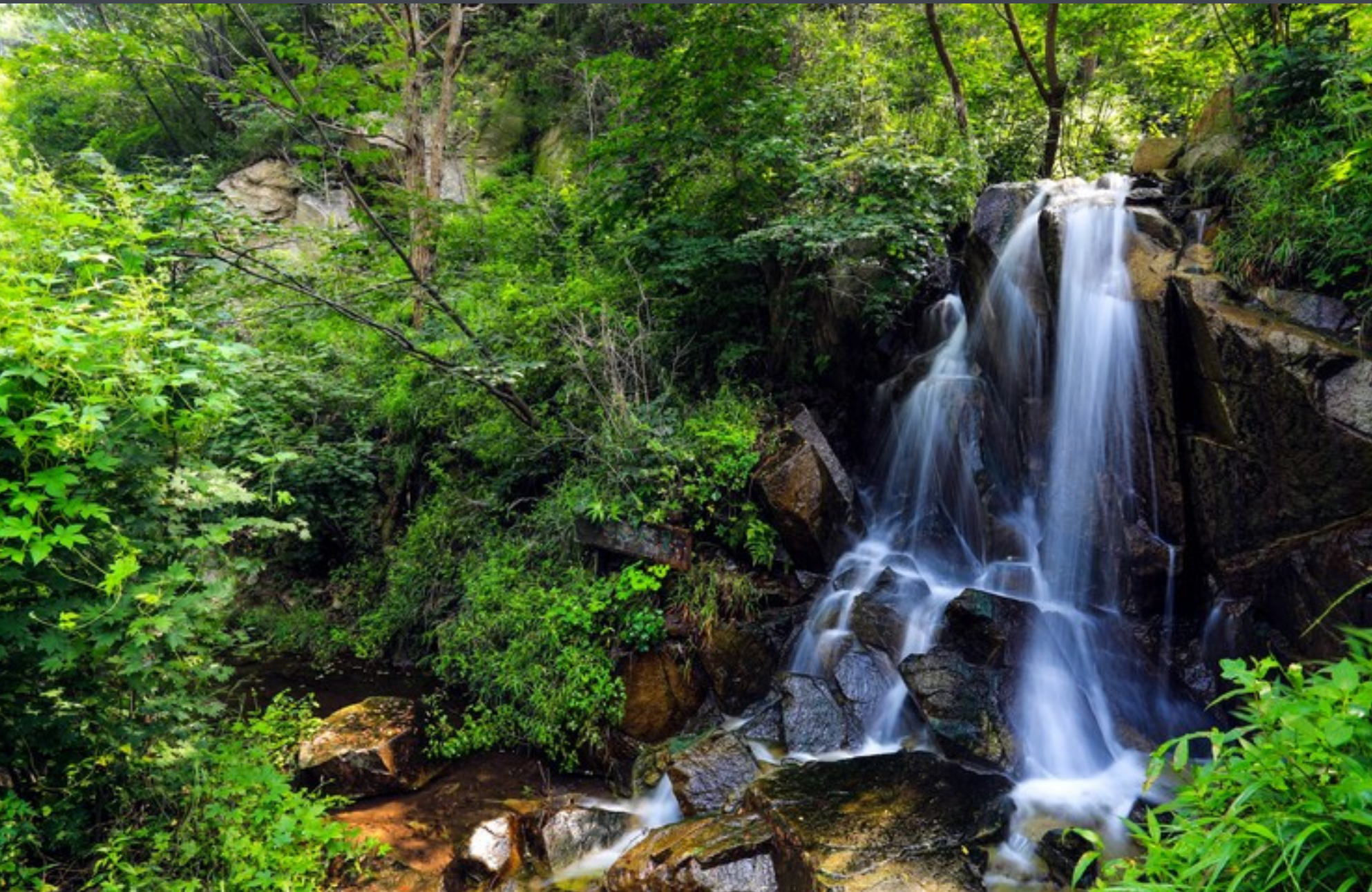 关于夏天去哪里旅游好玩又凉快的地方的信息