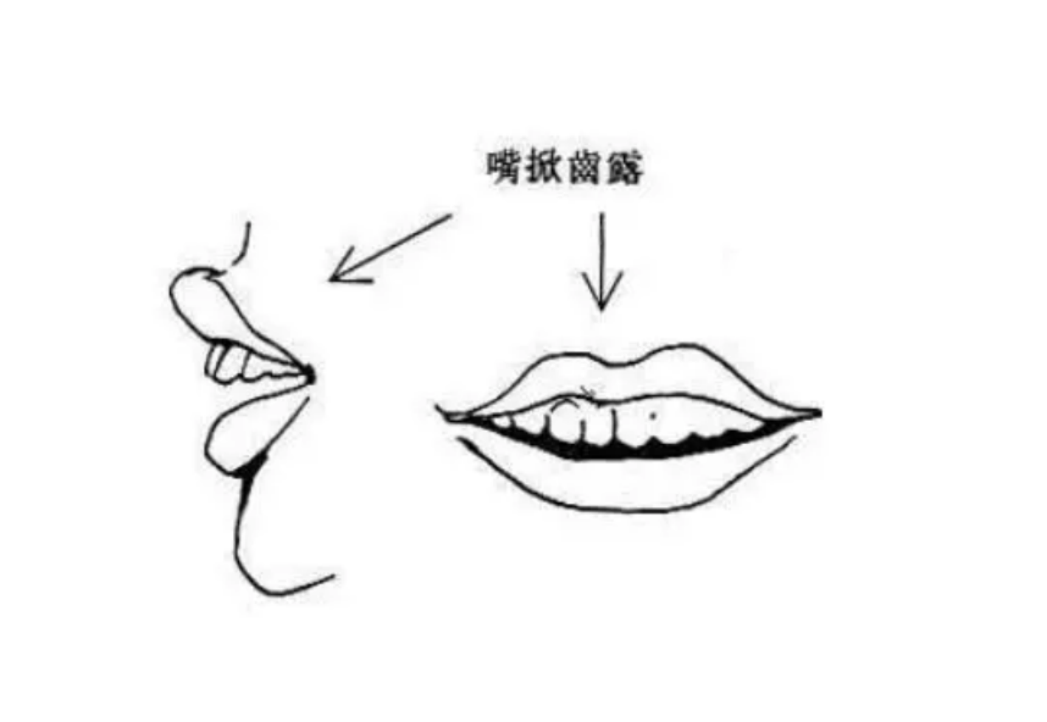 老话说:"口小唇掀命贫贱,肩寒齿露无定所",老祖宗说的对吗?