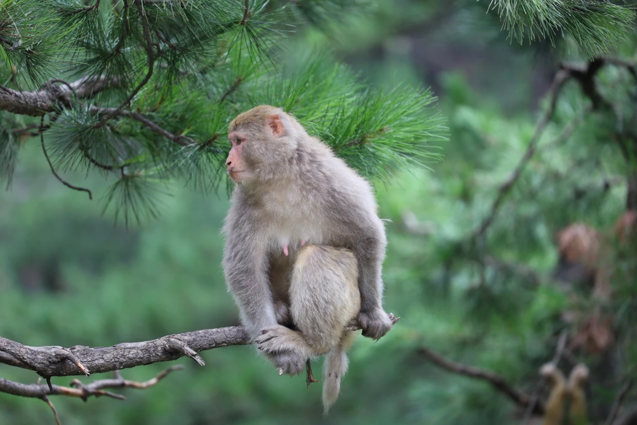 沁源灵空山游玩攻略来了!